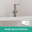 Hansgrohe Tecturis E Freestanding Tub Filler With 1.75 Gpm Handshower In Brushed Nickel, 73445821