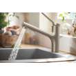 Hansgrohe Zesis Kitchen Faucet 2-Spray, Pull-Out, 1.5 Gpm In Stainless Steel Optic, 74810801