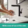Hansgrohe Finoris Single-Hole Faucet 230 With 2-Spray Pull-Out, 1.2 Gpm In Matte Black, 76063671