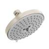 27495821 Raindance S Multi Function 2.5 GPM Shower Head in Brushed Nickel