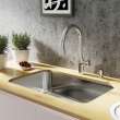 Reginox 29.75-In Lr X 18.75-In Fb Undermount Single Bowl Stainless Steel Kitchen Sink