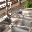 Reginox 31.25-In Lr X 20.5-In Fb Drop In Double Bowl 3-Hole Stainless Steel Kitchen Sink