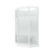 Himalaya 38 x 38 Polystyrene Center Drain Shower Kit in White with Design 47 glass in White