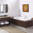Living 7242 Acrylic Drop-in Center Drain Bathtub in White