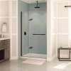 Reveal 71 38-41 x 71 1/2 in. 8mm Pivot Shower Door for Alcove Installation with Clear glass in Dark Bronze