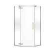 Link Curve Neo-angle 38 x 38 x 75 in. 8mm Pivot Shower Door for Corner Installation with Clear glass in Brushed Nickel