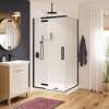 Hana Rectangular 42 x 34 x 75 in. 8mm Pivot Shower Door for Corner Installation with Clear glass in Matte Black