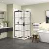 Radia Square 36 x 36 x 71 1/2 in. 6 mm Sliding Shower Door for Corner Installation with Shaker glass in Matte Black