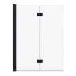 Edge Access 42 x 56 in. 6 mm Pivot Tub Screen for Alcove Installation with Clear glass in Matte Black