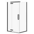 Davana Rectangular 42 x 34 x 75 in. 8mm Pivot Shower Door for Corner Installation with Clear glass in Dark Bronze
