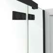 Davana Rectangular 42 x 34 x 75 in. 8mm Pivot Shower Door for Corner Installation with Clear glass in Matte Black