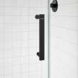 Outback Round 36 x 36 x 75 5/8 in. 8mm Sliding Shower Door for Corner Installation with Clear glass in Matte Black