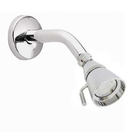 Commercial 12894 Showerhead in Chrome