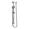 Basic 3667EP Multi-Function Hand Shower Package with Hose and Slide Bar in Chrome