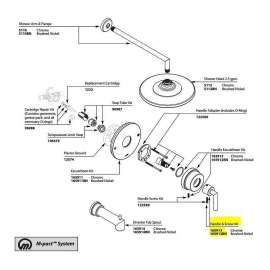 Replacement Handle Kit for Pressure Balance Valve Trim in Brushed Nickel