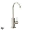 One-Handle Cold Water Only Beverage Faucet in Spot Resist Stainless