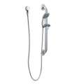 Moen Grab Bars