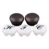 Moen Handle Cap Kit