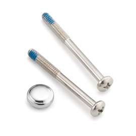 Moen Polished brass Handle Cap and Screw