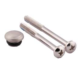 Moen Polished brass Handle Cap and Screw