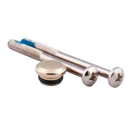 Moen Polished brass Handle Cap and Screw, 114343P