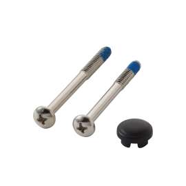 Moen Polished brass Handle Cap and Screw