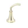Moen Handle Kit