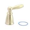 Moen Handle Kit