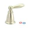 Moen Handle Kit