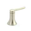 Moen Handle Kit, 139760BN