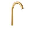 Moen Brushed Gold Spout Kit