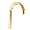 Brushed gold Spout Kit