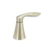 Moen Handle Kit