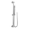 Moen Eco-Performance Handheld Shower