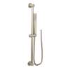 Moen Eco-Performance Handheld Shower