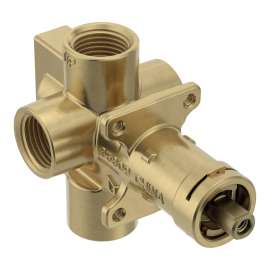 Includes bulk pack 1/2" IPS connection, 62700