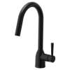 Chateau Matte black one-handle kitchen faucet