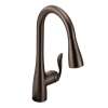 Arbor One-Handle High Arc Pulldown Kitchen Faucet