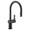 Cia Smart Pulldown Touchless Kitchen Faucet, 7622EVBL