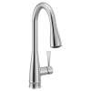 Riverwood Chrome one-handle kitchen faucet