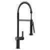 Cia One-Handle Pre-Rinse Spring Pulldown Kitchen Faucet