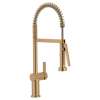Cia One-Handle Pre-Rinse Spring Pulldown Kitchen Faucet