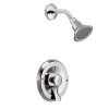 Commercial Chrome Posi-Temp(R) shower only