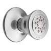 Moen Chrome Body Spray