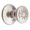 Moen Chrome Body Spray