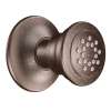 Moen Chrome Body Spray