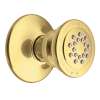 Moen Chrome Body Spray, A501P