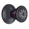 Moen Chrome Body Spray