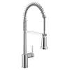 Align Pre-Rinse Spring Kitchen 3 In 1 Water Filtration Faucet