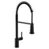 Align Pre-Rinse Spring Kitchen 3 In 1 Water Filtration Faucet